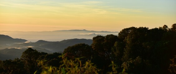 sunrisie or sun setting behind a dense forest area followed by mountains	