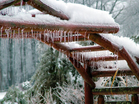 Horizontal image of a large wooden garden arbor with icicles and snow in winter garden