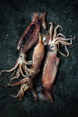raw squid on a stone background..top view.