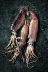 raw squid on a stone background..top view.