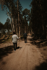 Fototapeta premium Couple walking in the middle of the forrest