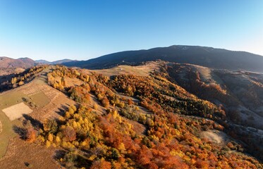 Mountain ridge with autumn yellowed trees at bright sunlight