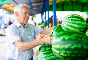 Fototapeta premium retired european man buys melons and watermelons in market