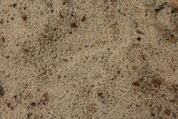 Background of sand and stones. Texture ground, dirt, brown background.