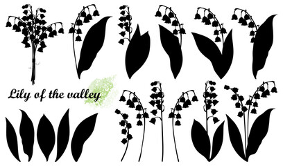 Set of silhouettes Lily of the valley or Convallaria flower and leaves in black isolated on white background.  - obrazy, fototapety, plakaty