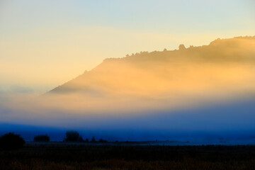 Foggy Valley Meadow with Trees and Morning Sunlight