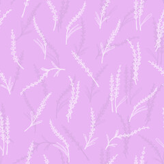 Fototapeta na wymiar Lavender seamless pattern,doodle hand drawn backdrop.Botanical floral wallpaper,botanical decoration of french field flower,natural organic product,herb.Design for medicine, aromatherapy,tea ceremony.