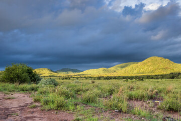 Fototapeta premium A wet Landscape view of mountains, brown and green savanna grassland covered in water drops and rain puddles after a rainstorm, Pilanesburg Nature Reserve, North West Province, South Africa