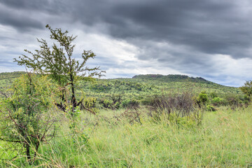 A wet Landscape view of mountains, brown and green savanna grassland covered in water drops and...