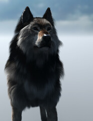 Fototapeta na wymiar Wolf in foggy scenery with blue cloudy sky. 3D render.