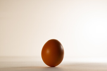 A chicken egg in an upright position, on a light background. Fresh chicken egg, with a textured brown shell.