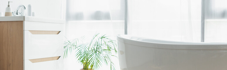 white bathtub near sink with toiletries and green plant in bathroom, banner.