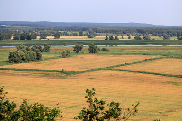 Fototapeta na wymiar The agricultural landscape of a large lowland European river - the Oder.