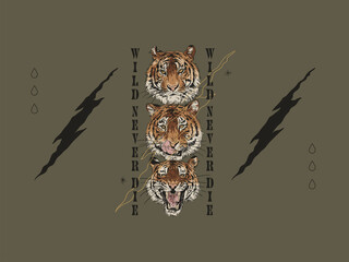 Tiger heads. Typography graphic print, fashion drawing for t shirt