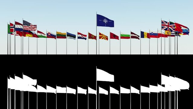 The flags of the member countries of the Nato Alliance against the sky. High quality FullHD footage