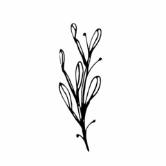 Vector set of doodle hand-drawn flowers. Collection of modern line illustrations.