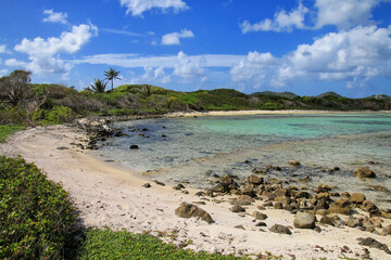 Coastline of White Island near Carriacou Island, Grenada.