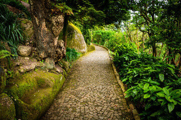 Beautiful pathway paved with small stones passes through a lush forest and moss-covered boulders on...
