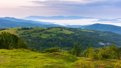 Fototapeta na wymiar countryside landscape at dawn. grassy meadows, rural fields and forested slopes on hills rolling off in to the distant valley full of fog. warm summer weather with clouds on the sky in morning light