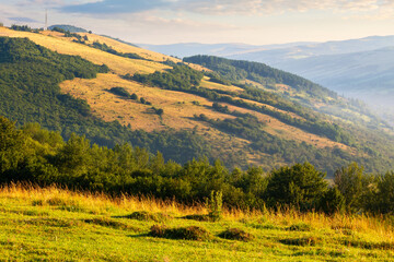 grassy pasture on the hill in morning light. beautiful countryside landscape of carpathian mountains at sunrise. rural valley at the foot on the distant ridge