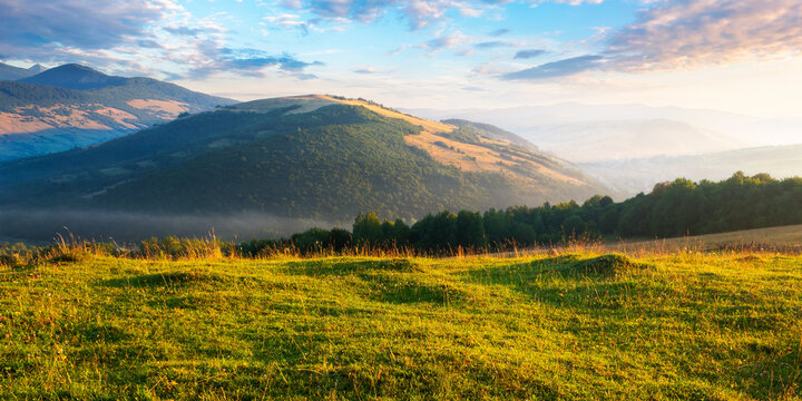 grassy pasture on the hill in morning light. beautiful countryside landscape of carpathian mountains at sunrise. rural valley at the foot on the distant ridge