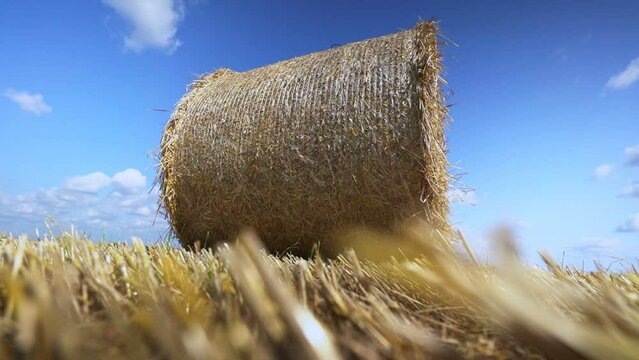 straw bale lies on beveled field in windy weather view from below closeup