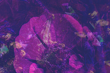 Abstract red background, christmas, valentine wallpaper, banner