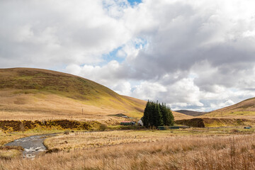 Fototapeta premium Sunny view of rural landscape
