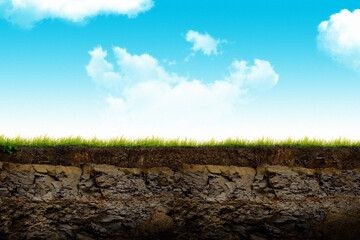 Cross section brown soil and green grass in under ground with blue sky in background - 482904400