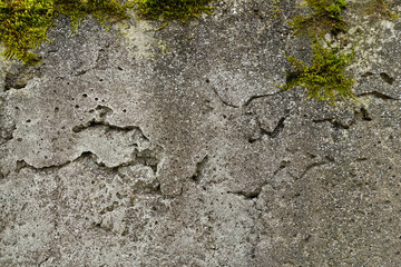 Old wall of crumbling concrete covered with moss. Stone background for design