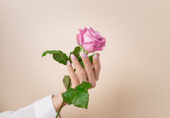 woman with rose flower in her hand on pastel background. Minimal natural floral concept. closeup
