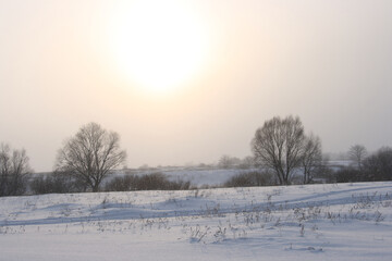 Fototapeta na wymiar Snow in the meadows before sunset