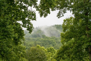 Obraz na płótnie Canvas Mist in the Mountains