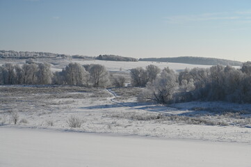 Winter landscape on a sunny day. Forests, fields. Snow glitters in the sun.