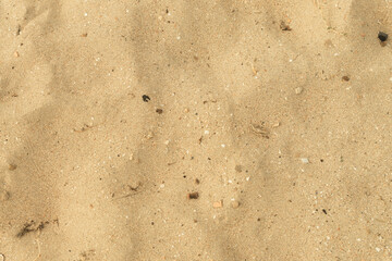 Natural background with a sand texture from above