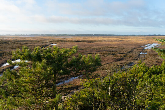 Thy Bilder Durchsuchen 2,666 Archivfotos, und Videos