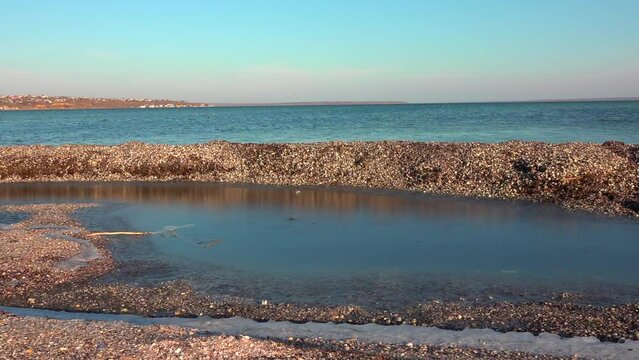 Storm emissions from shells of bivalve molluscs and algae, wetlands of Ukraine, Tiligul estuary