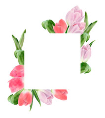 Watercolor tulip flowers frame. Spring design for valentine day, 8 march, mothers day, easter. Greeting card border. Hand painted illustration isolated on white background