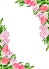 Fototapeta premium Watercolor tulip flowers frame. Spring design for valentine day, 8 march, mothers day, easter. Greeting card border. Hand painted illustration isolated on white background