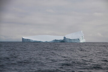 duże góry lodowe o różnych kształtach na morzu w pochmurny dzień - 482907873