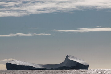 różnokształtne duże  góry lodowe na morzu w słoneczny dzień - obrazy, fototapety, plakaty