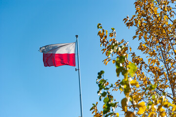Flaga Polski (Polish flag) - obrazy, fototapety, plakaty