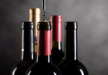 Wine bottles collection on a dark background with copy space