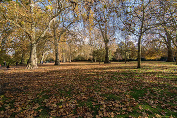 View of the beautiful parks in London