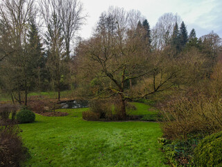 Fototapeta na wymiar Garden during winter season. Scenic View of garden with large green grass and trees in Belgium