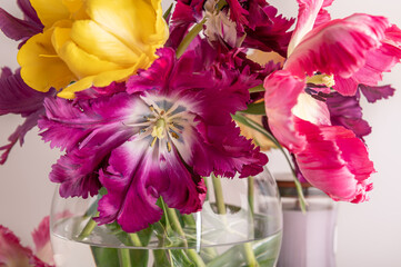 Bunch of Parrot Style Tulips
