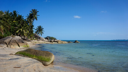 Sand tropical beach with palms and blue sea view	