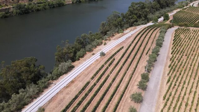Alto Douro, Portugal 