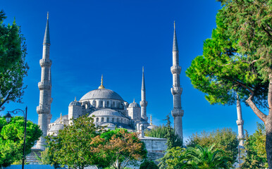 Fototapeta na wymiar Blue Mosque (Sultanahmet Camii) surrounded by trees on a sunny day, Istanbul, Turkey.