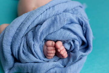 feet of a newborn baby. legs on a blue background. baby feet